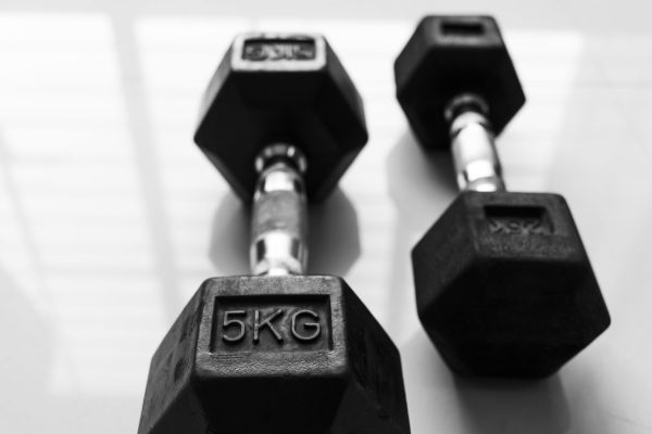 REPRISE EXAMEN PRATIQUE MUSCULATIONÉTIREMENTS